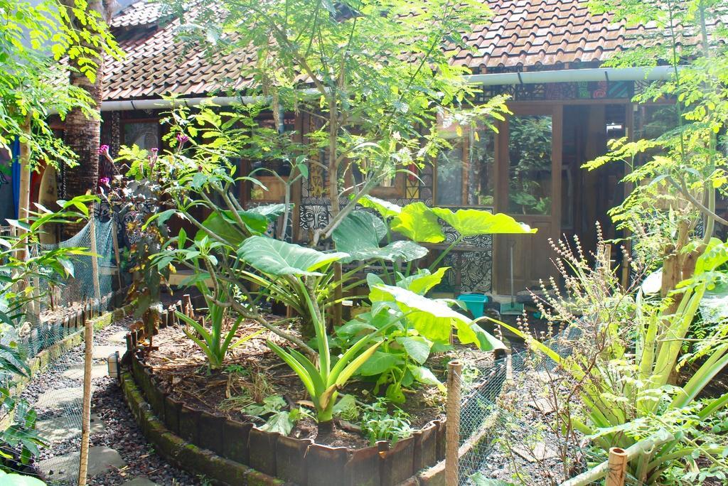 Farmer'S Yard Hostel Canggu Dış mekan fotoğraf